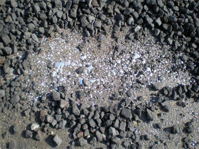 Econs support to 'Make Mercury History'