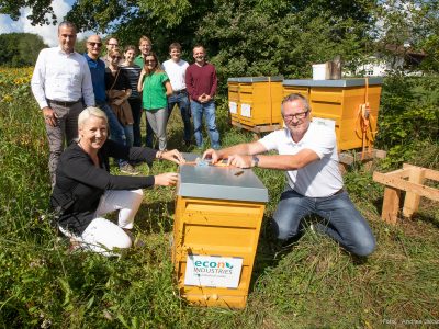Beefuture – A new home for our beehive
